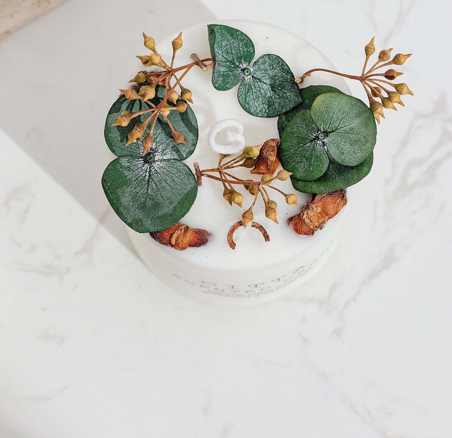 Citta Bloom of Scent Soy Bean Wax SCENTED CANDLE | Lemon Verbena w/ BOX