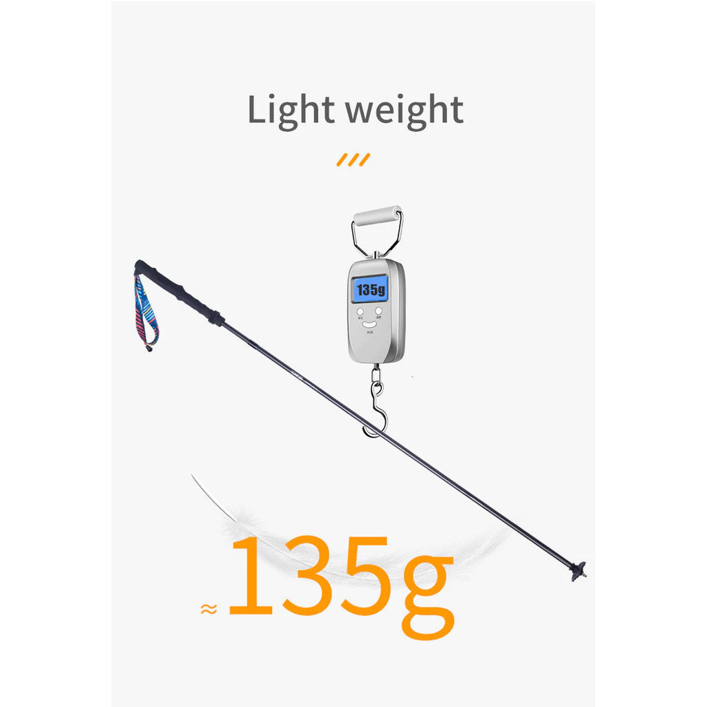 2 pcs Aonijie CARBON FIBER HIKING POLE E4204