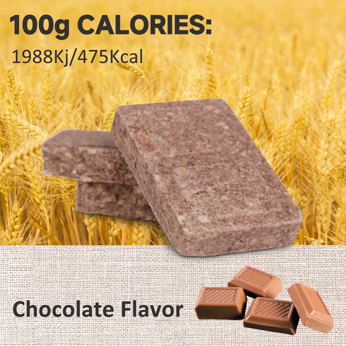 High Energy 900 CHOCOLATE Bar 120g x 12 pcs (1 Box) - Exp. Date October 2044
