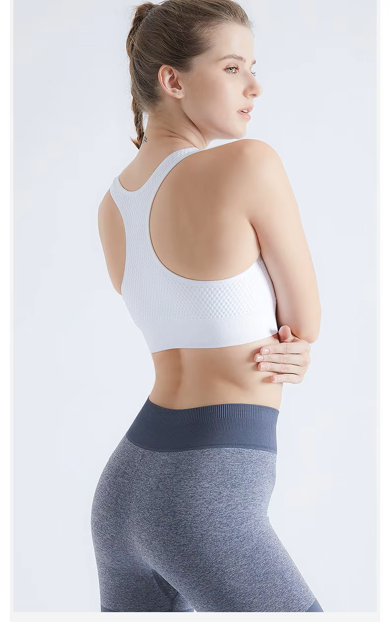 Women's Quick-Drying Breathable SPORTS BRA Seamless