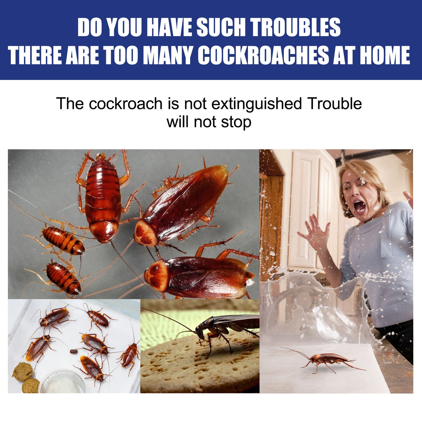 Jaysuing COCKROACH REPELLENT CREAM 120g