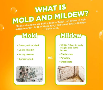 Mr. Muscle Mold and Mildew Refill 500ml - (Pack of 3)
